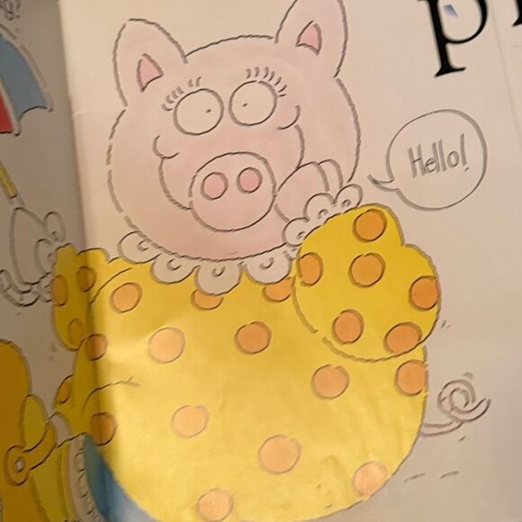 Set of 5 DK Big Books Vowel Sounds Classroom Book Pat Cat Zug Bug Tog Dog 14” - Picture 8 of 14